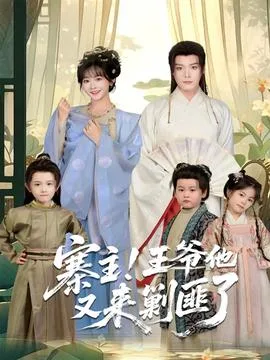 寨主!王爷他又来剿匪了