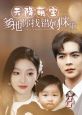 天降萌宝爹地你找错妈咪啦