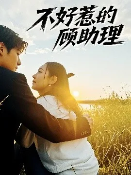 不好惹的顾助理