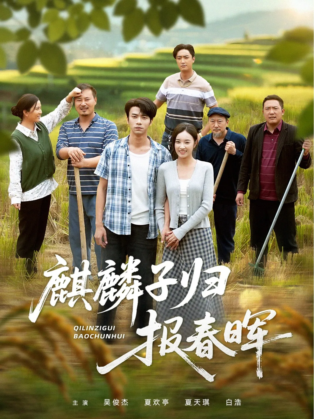麒麟子归报春晖