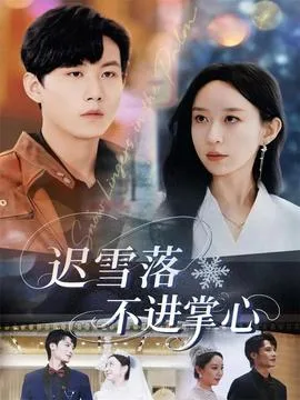迟雪落不进掌心