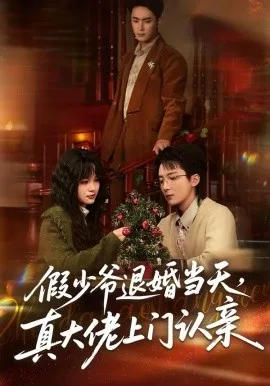 假少爷退婚当天,真大佬上门认亲