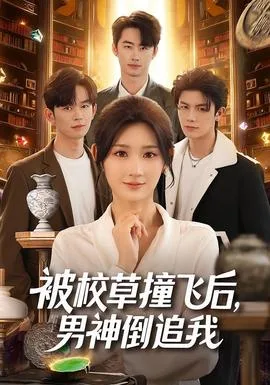 被校草撞飞后男神倒追我