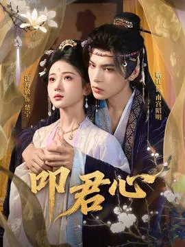 叩君心