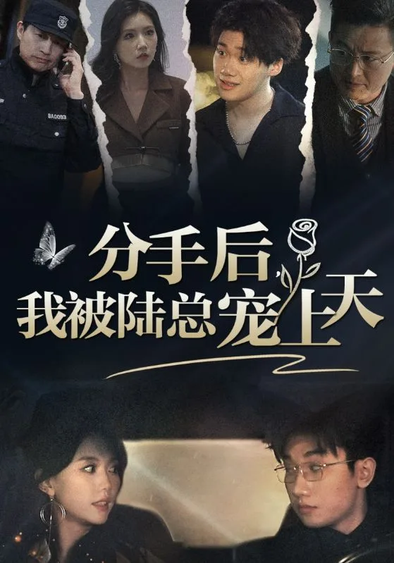 分手后,我被陆总宠上天