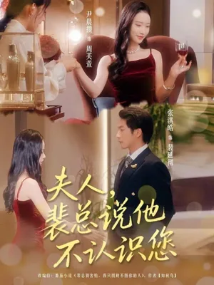 夫人裴总说他不认识您