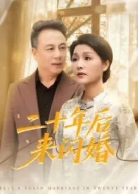 二十年后来闪婚