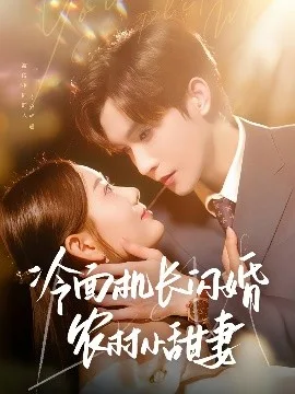 冷面机长闪婚农村小甜妻
