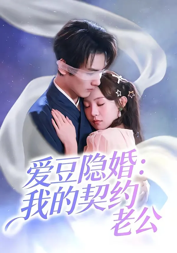 爱豆隐婚:我的契约老公