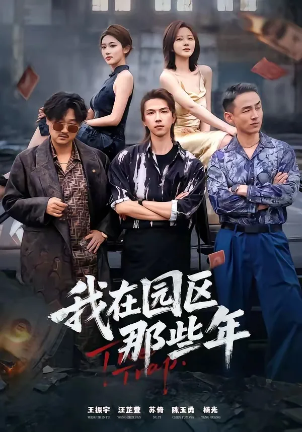 我在园区那些年