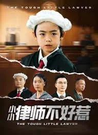 律师不好惹